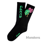 SPLASH Original Black 龜背芋 Monstera