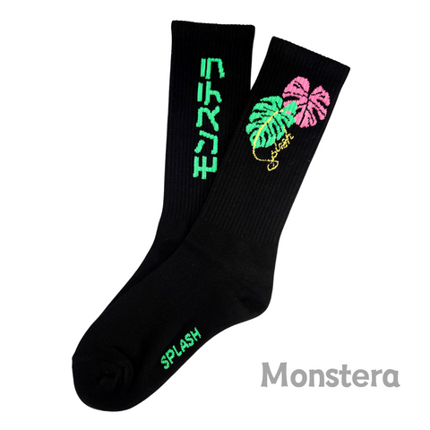 SPLASH Original Black 龜背芋 Monstera