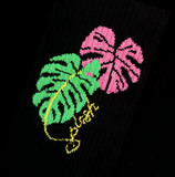 SPLASH Original Black 龜背芋 Monstera